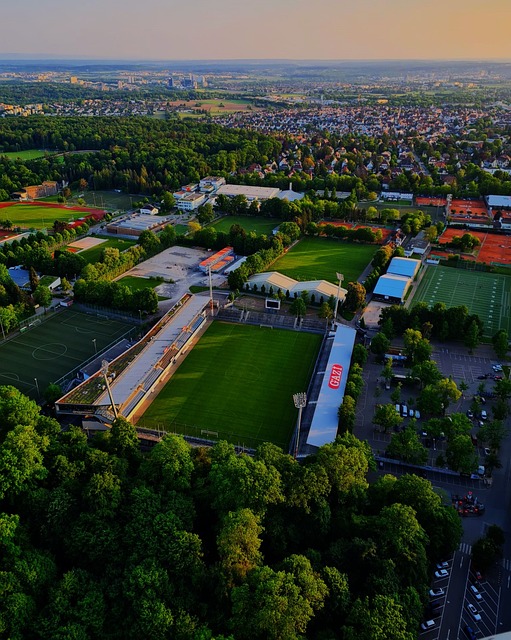 馈搜集大家 馈搜集大家