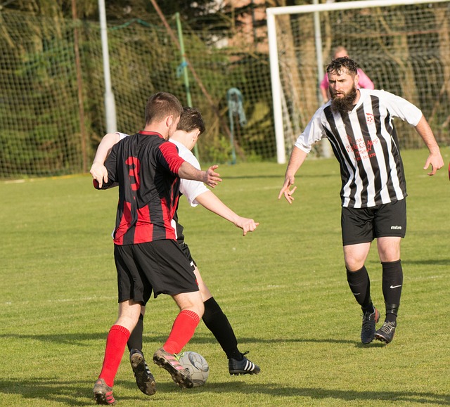 詹姆斯的领 詹姆斯的领