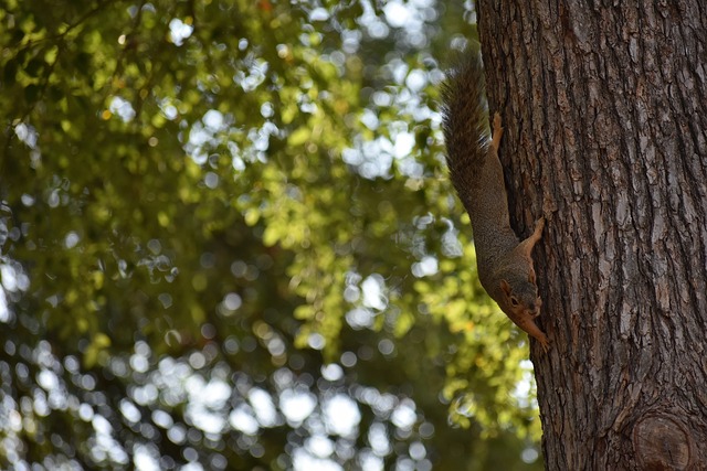契合读者需 契合读者需