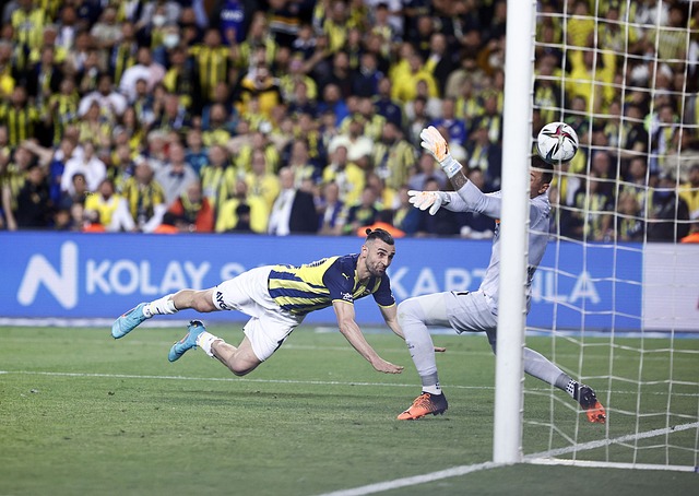 将会是团队 将会是团队