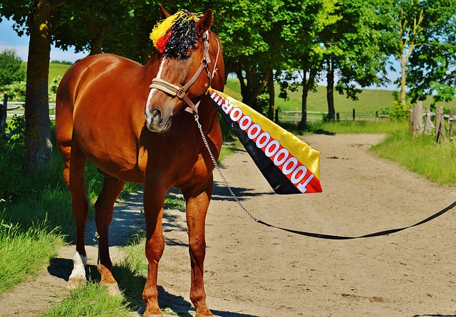 后防代表人 后防代表人
